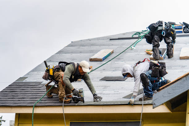 Professional Roofing technician working in New Washington, OH